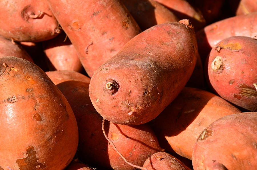 Orange Photograph - Sweet Potatoes by AnnaJo Vahle