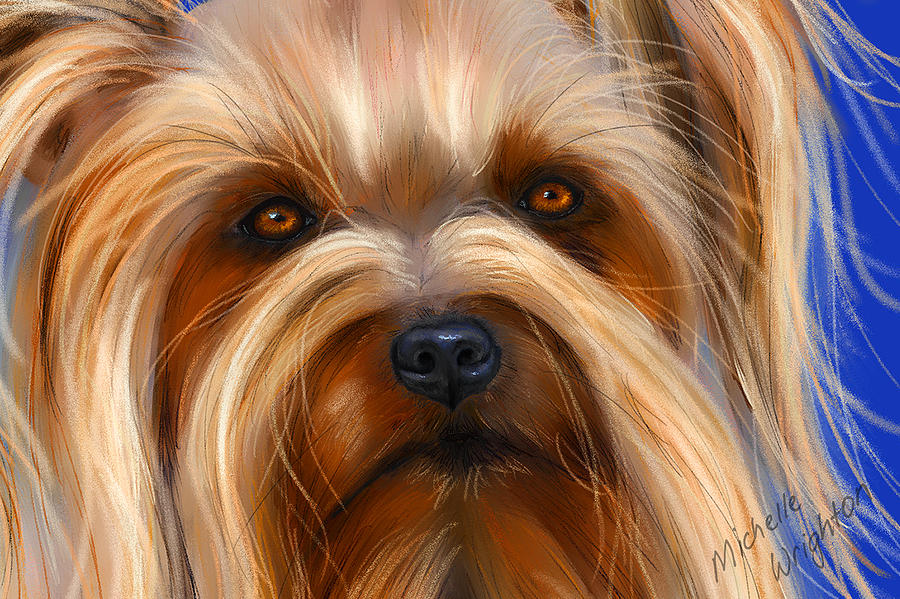 Sweet Silky Terrier Portrait Painting by Michelle Wrighton