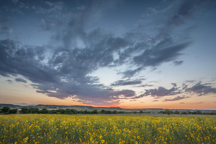 Sweet Summer Sunset Photograph by Morris McClung