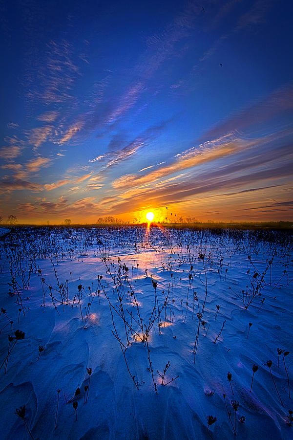 Winter Photograph - Sweet Surrender by Phil Koch