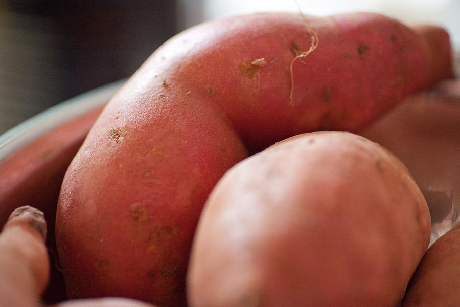 Sweet Sweet Potato Photograph by Carole Hinding