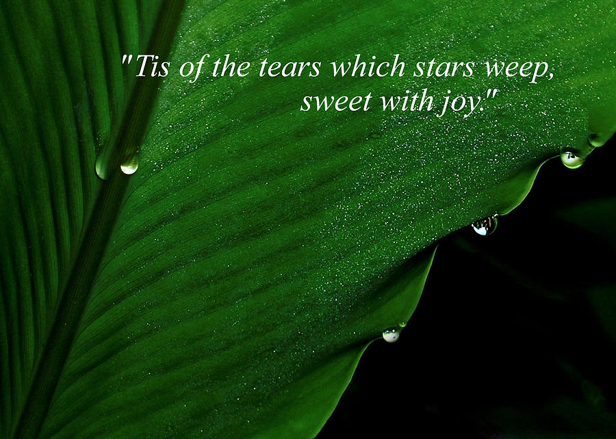 Sweet Tears Photograph by James Temple