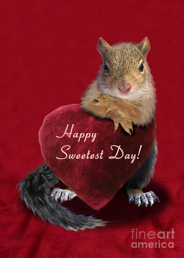 Candy Photograph - Sweetest Day Squirrel by Jeanette K