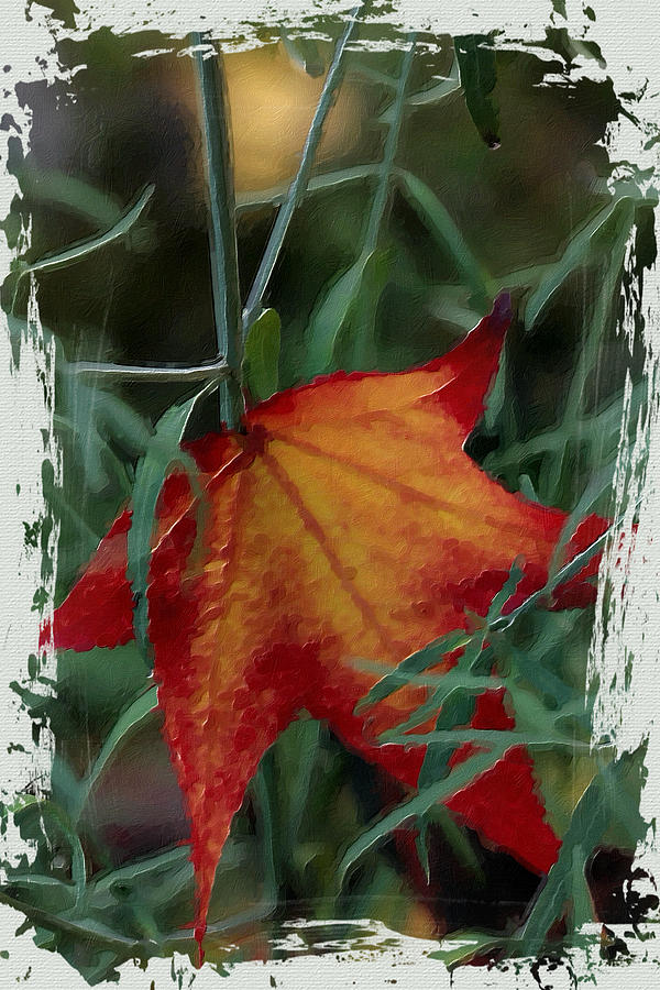 Nature Painting - Sweetgum Leaf by Bonnie Bruno
