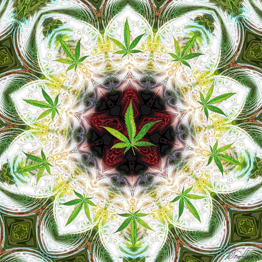 Sweetleaf Mandala Digital Art by Diana Haronis