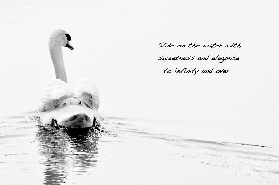Sweetness and elegance by Simona Ghidini Sweetness and elegance by Simona Ghidini