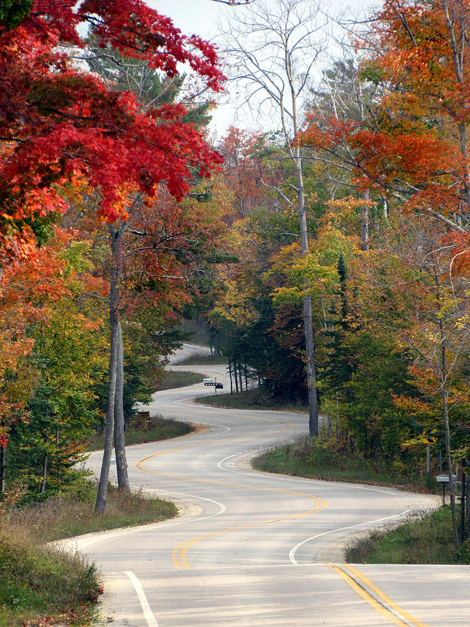 Fall Photograph - Swervy Road at North Port by David T Wilkinson