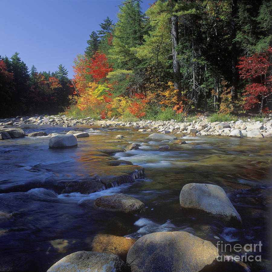 Fall Photograph - Swift River Autumn - FM000103 by Daniel Dempster