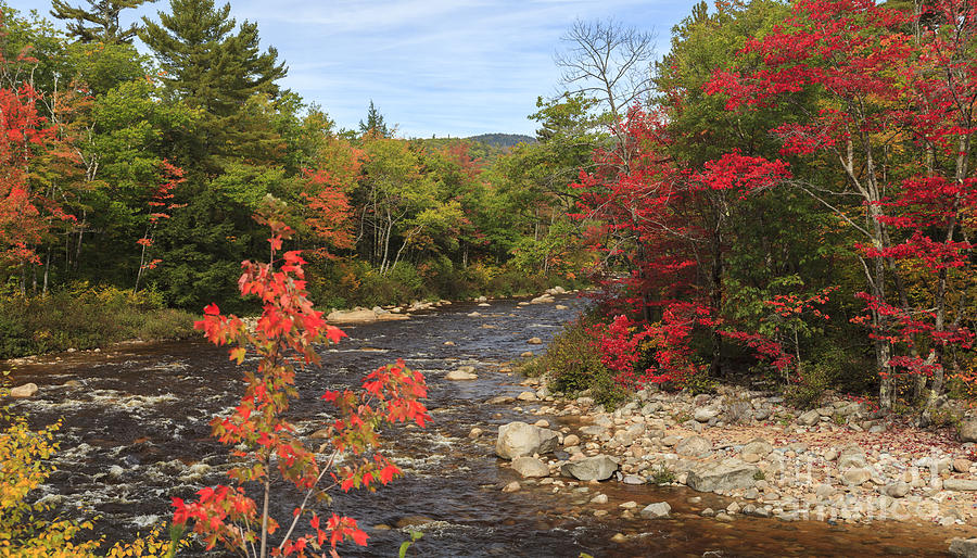 Swift River fall foliage White Mountains New Hampshire Photograph by Ken Brown