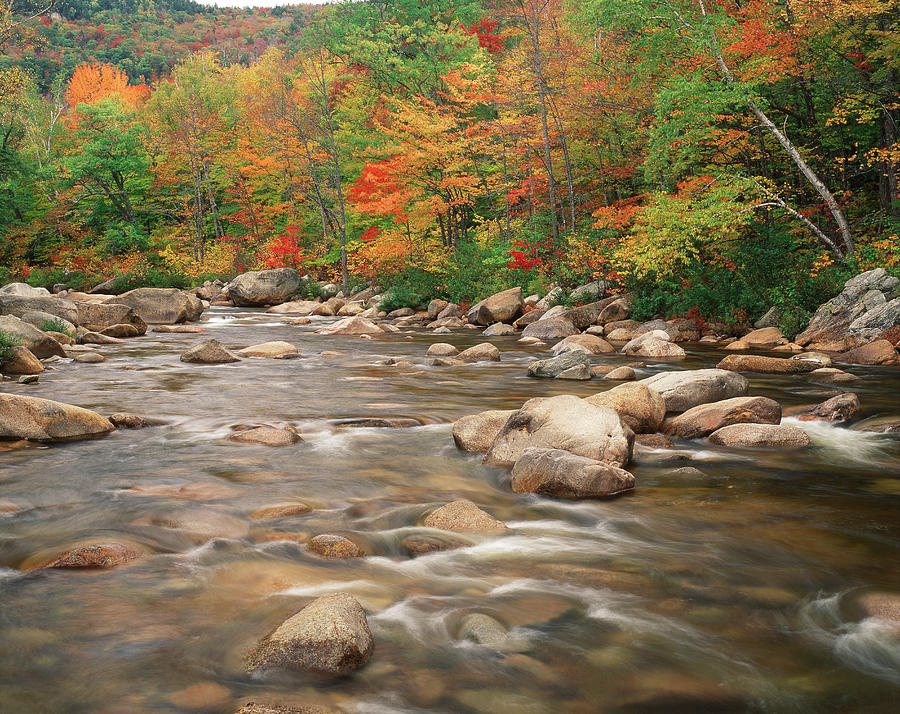 Swift River In Autumn, White Mountains Photograph by Danita Delimont Swift River In Autumn, White Mountains Photograph by Danita Delimont