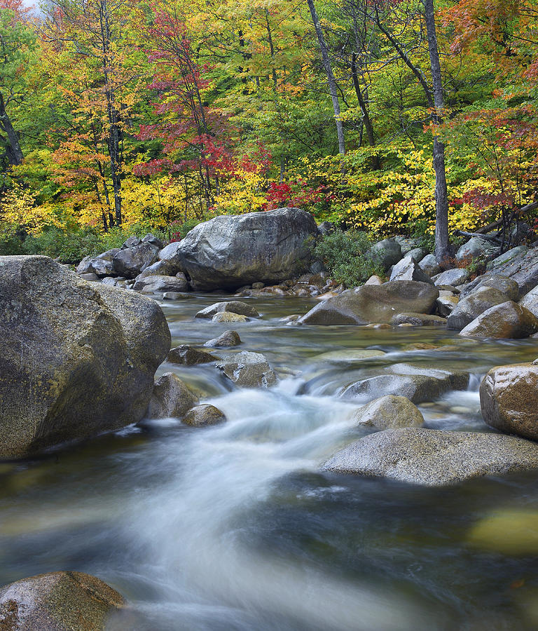 Swift River In Fall White Mountains New Photograph by Tim Fitzharris