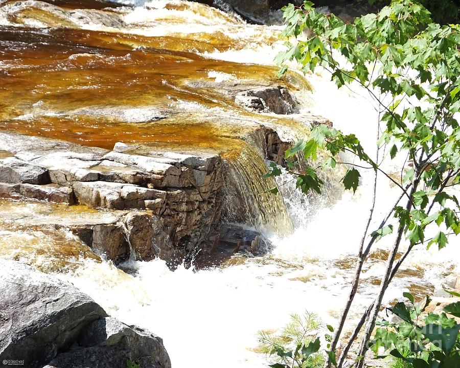 Swift River Waterfall Kancamagus Hwy New Hampshire Photograph by Lizi Beard-Ward