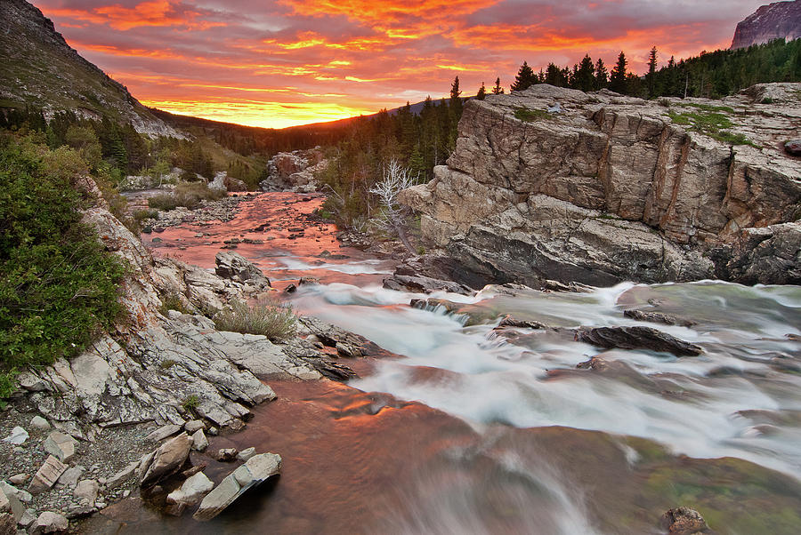 Swiftcurrent Creek Sunrise Photograph by Greg Nyquist