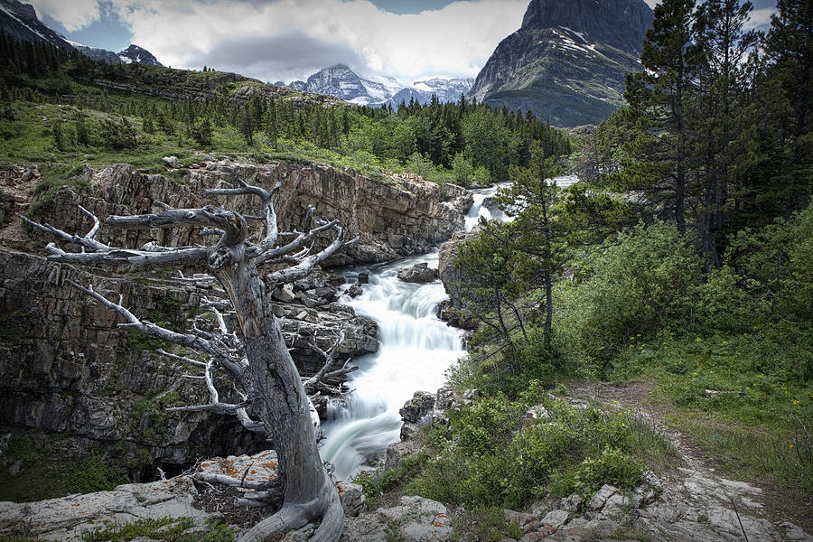 Glacier National Park Photograph - Swiftcurrent River below the Dam on Swiftcurrent Lake by Randall Nyhof