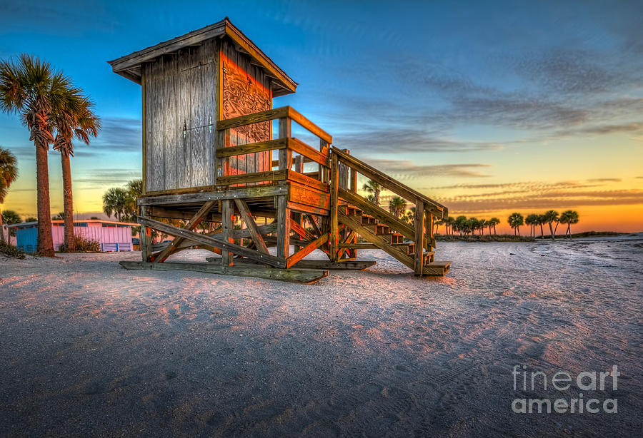 Swim at Your Own Risk Photograph by Marvin Spates