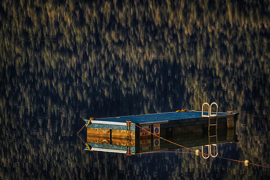 Swim Platform On Lake Quinault Photograph by Robert Woodward