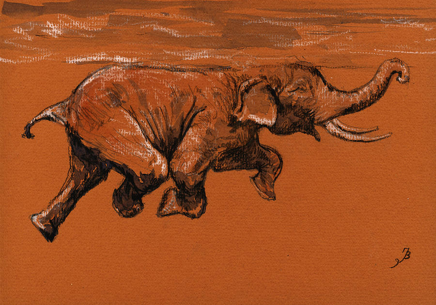 Wildlife Painting - Swimming elephant by Juan  Bosco