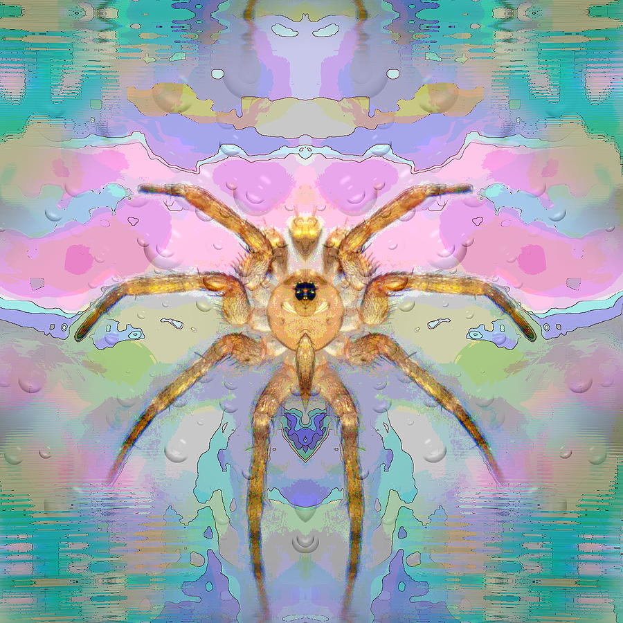 Swimming fantasy by Iustin Cret Swimming fantasy by Iustin Cret