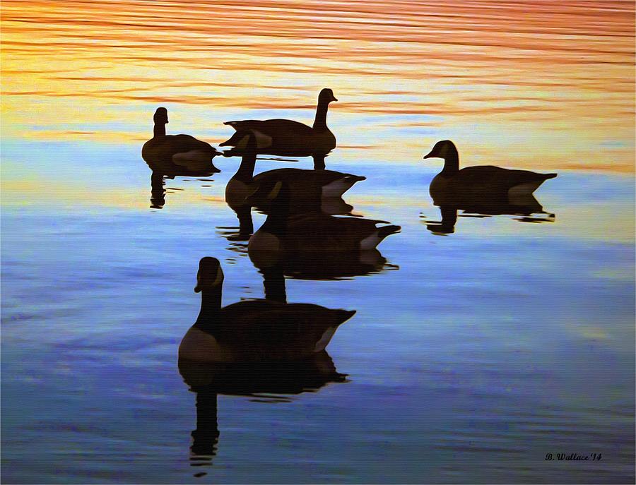 Swimming Geese Photograph by Brian Wallace