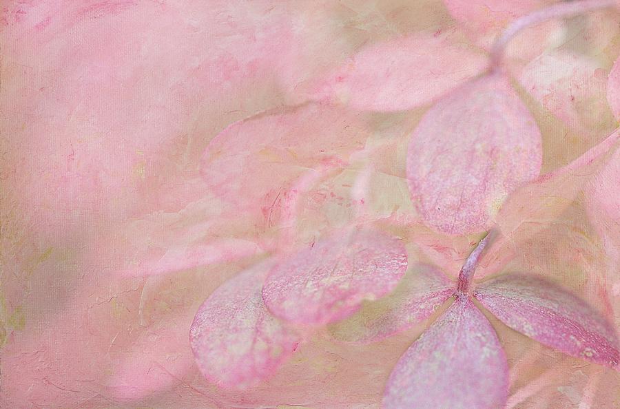 Pink Digital Art - Swimming in Petals by Michelle Ayn Potter