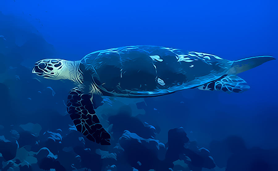 Swimming Turtle Digital Art by Roy Pedersen