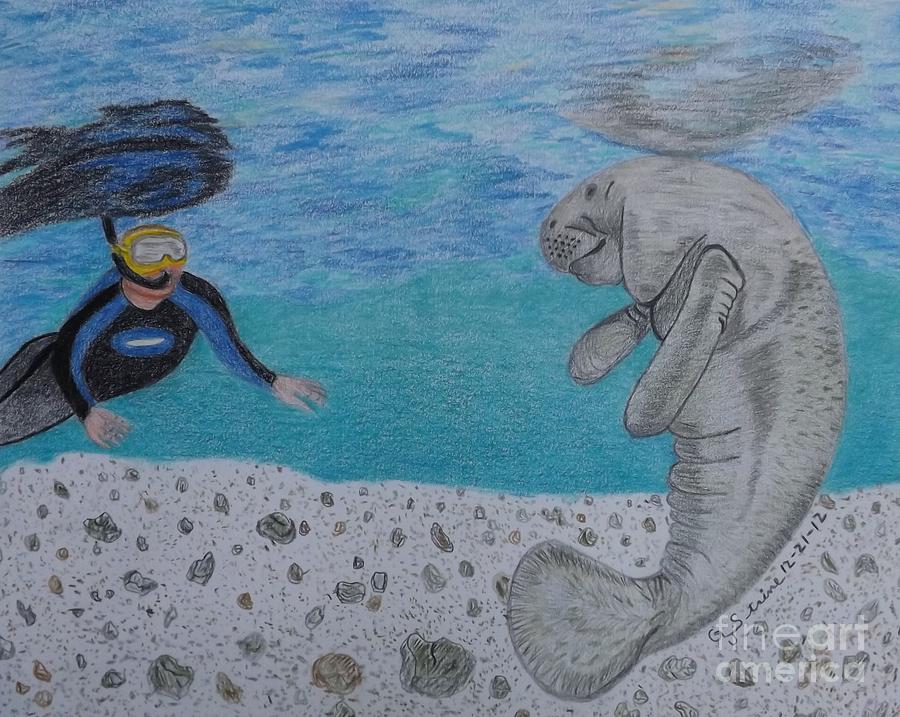 Swimming With The Manatee Drawing