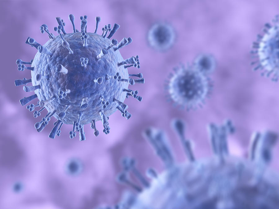 Swine Influenza (H1N1) Virus Photograph by 2ndpic