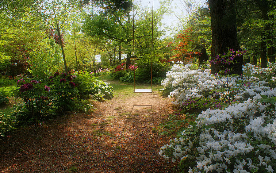 Garden Photograph - Swing in the Garden by Sandy Keeton