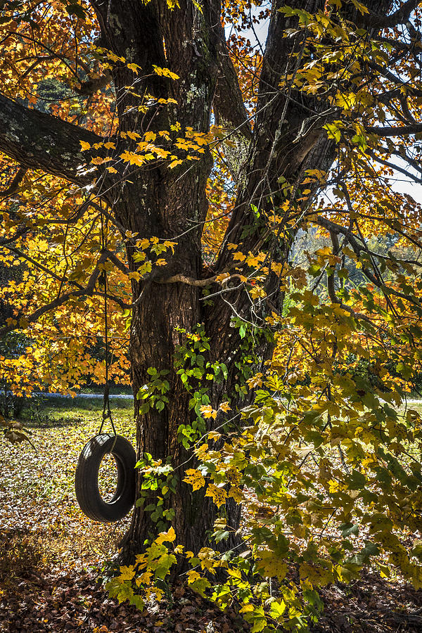 Barn Photograph - Swing in the Maple Tree by Debra and Dave Vanderlaan
