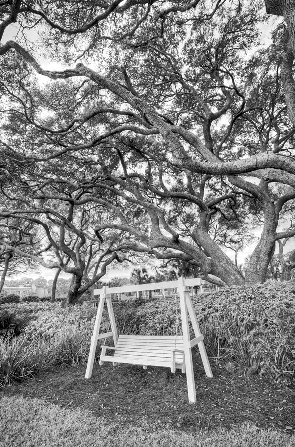 Swing Under the Oaks Photograph by Debra and Dave Vanderlaan
