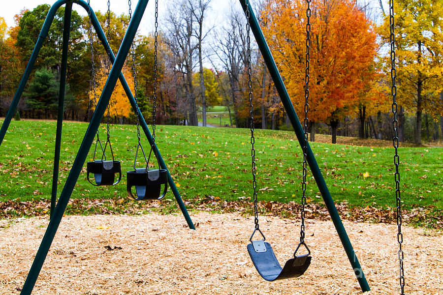 Swings Photograph by William Norton