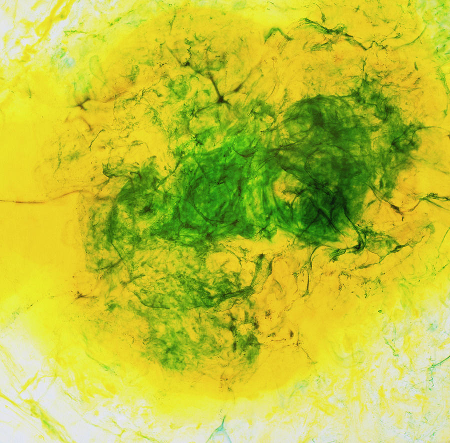 Swirl And Mixing Of Oils Photograph by Dr Jeremy Burgess/science Photo Library