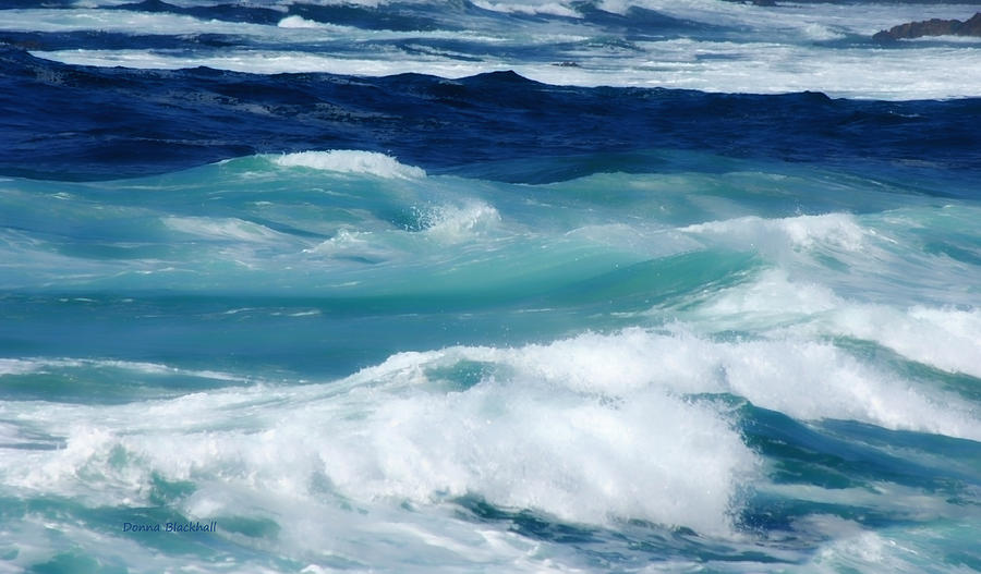 Nature Photograph - Swirling Blues by Donna Blackhall