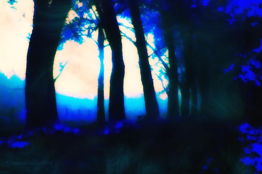 Swirling Evening Mists Digital Art by Mimulux Patricia No