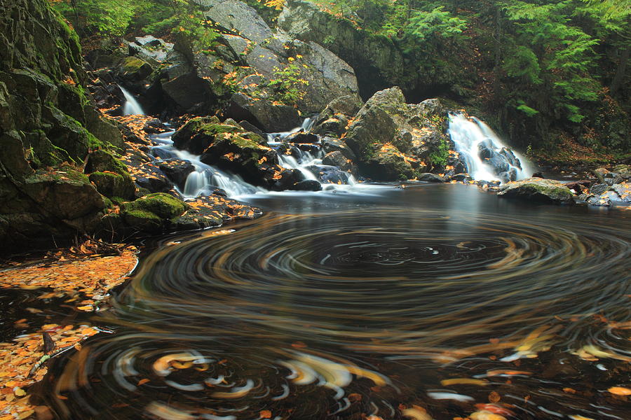 Swirling Leaves in Waterfall Pool Bears Den Photograph by John Burk