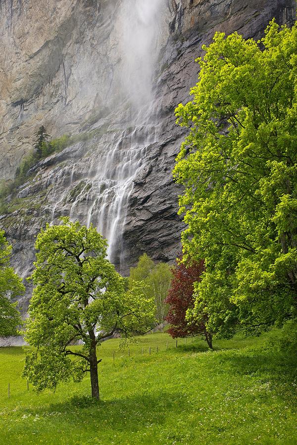 Swiss Alps Photograph by Altug Karakoc