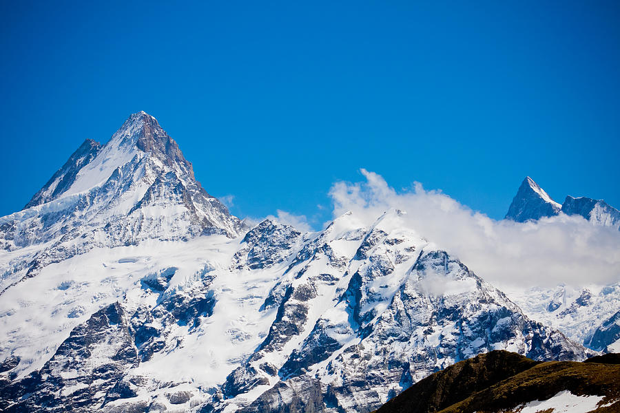 Swiss Alps - Schreckhorn  Photograph by Anthony Doudt