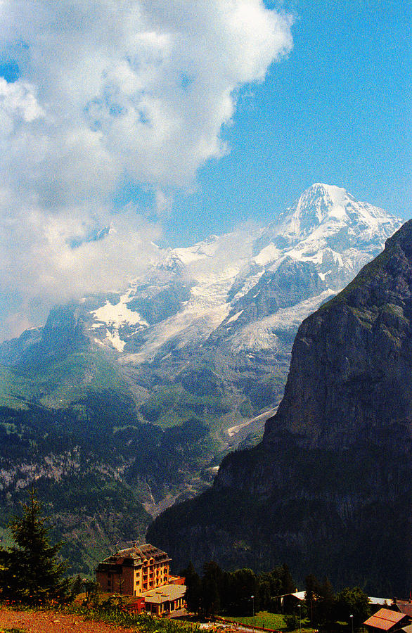 Swiss delight by Carol Kinkead Swiss delight by Carol Kinkead