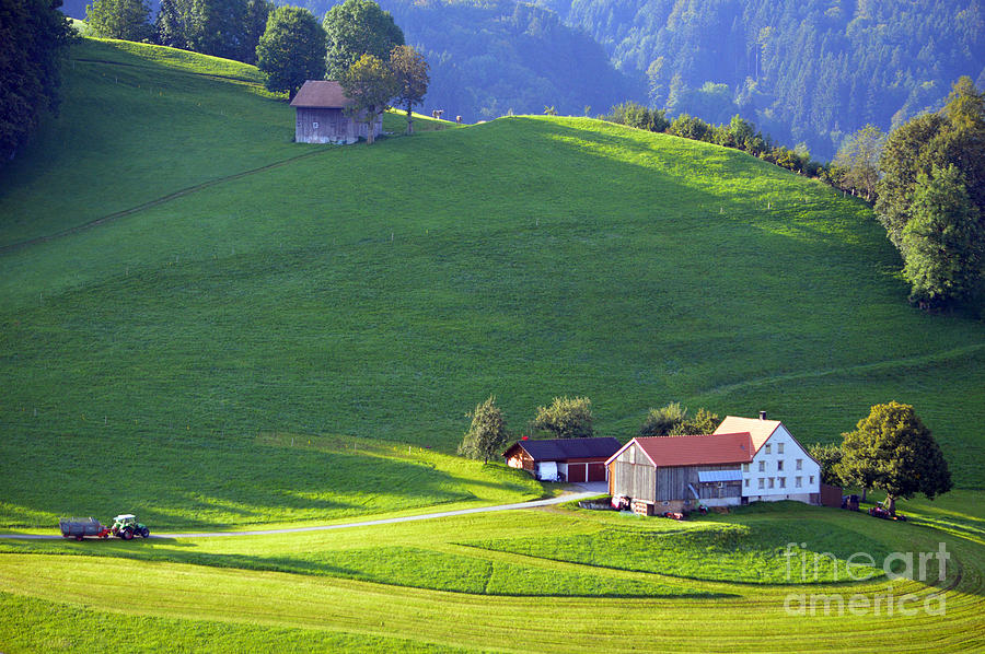 Swiss Farm House Photograph