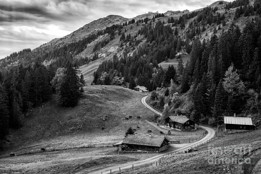 Swiss Farm BW Photograph by Timothy Hacker