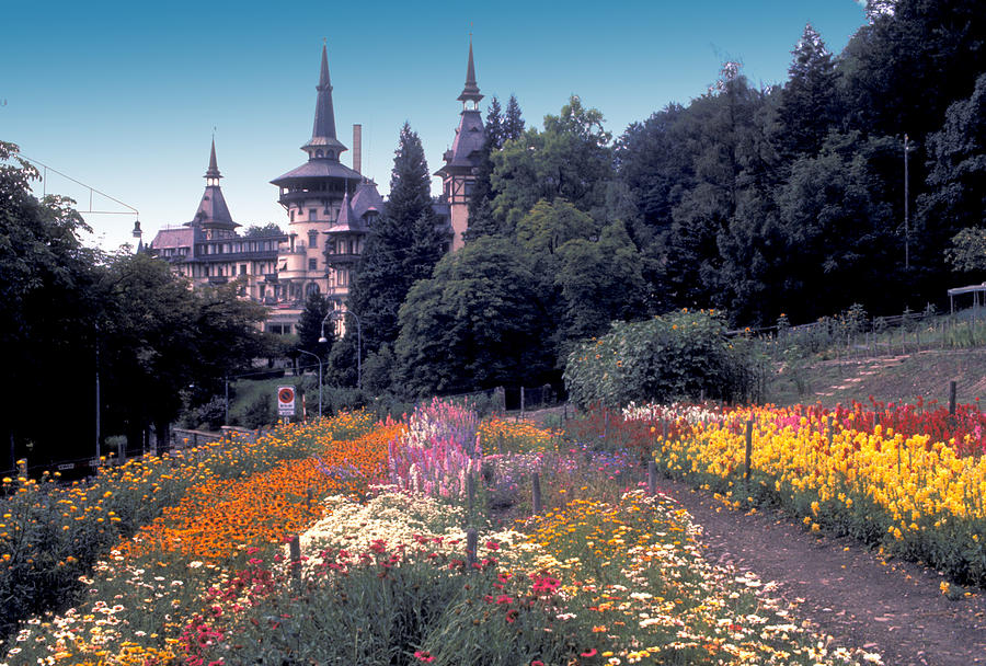 Swiss Flower Garden Photograph