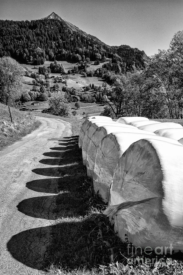Swiss Hay BW Photograph by Timothy Hacker