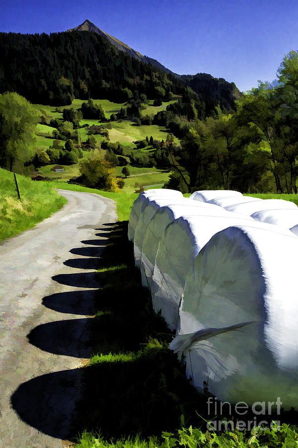 Swiss Hay Digital Photograph by Timothy Hacker