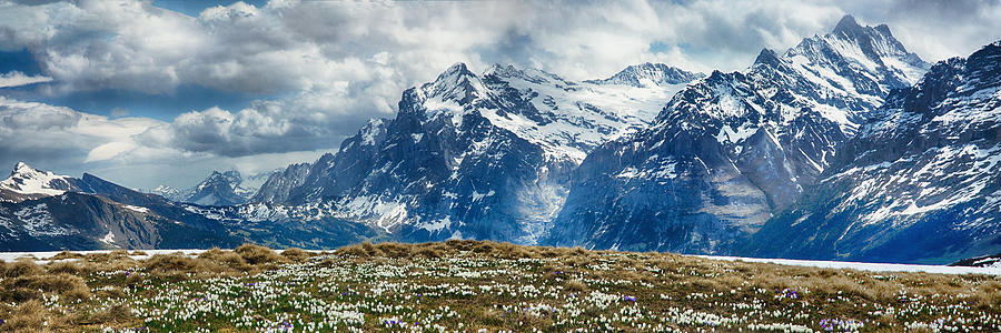 Swiss Mountain Pano 2 Photograph by Jack Nevitt