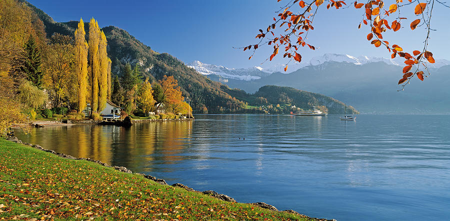 Fall Photograph - Switzerland, Canton Lucerne, Lake by Panoramic Images