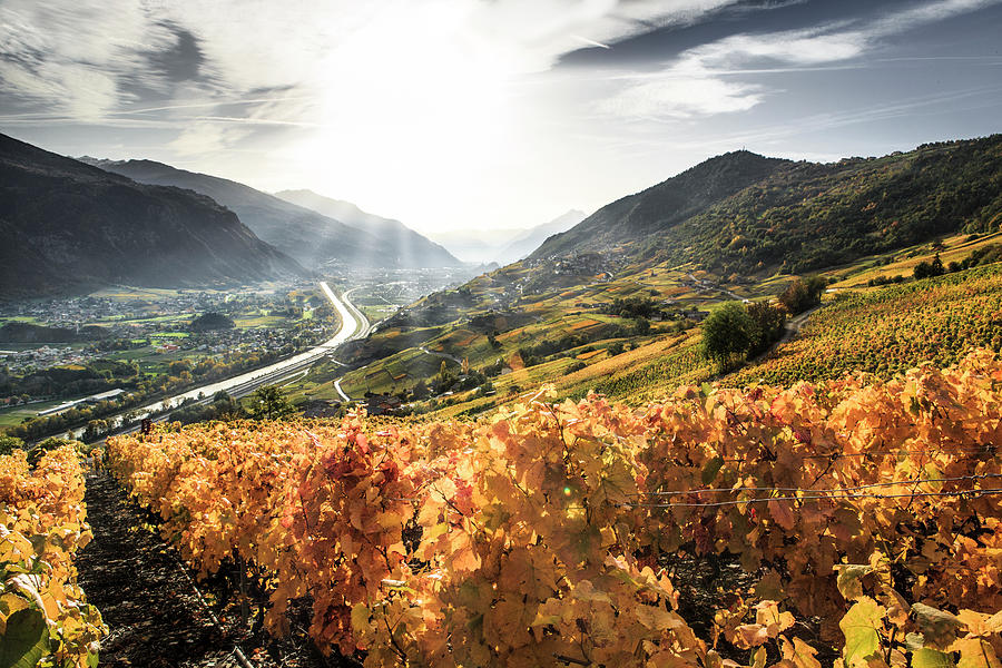 Switzerland Valaiswallis Golden Fall Photograph by Frederic Huber Photography