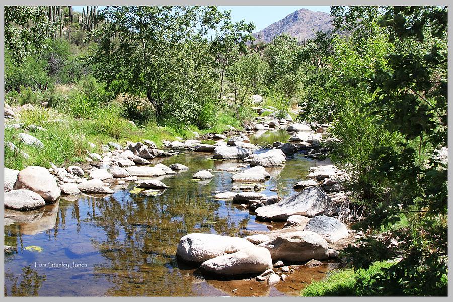 Sycamore Creek Arizona Photograph by Tom Janca - Fine Art America