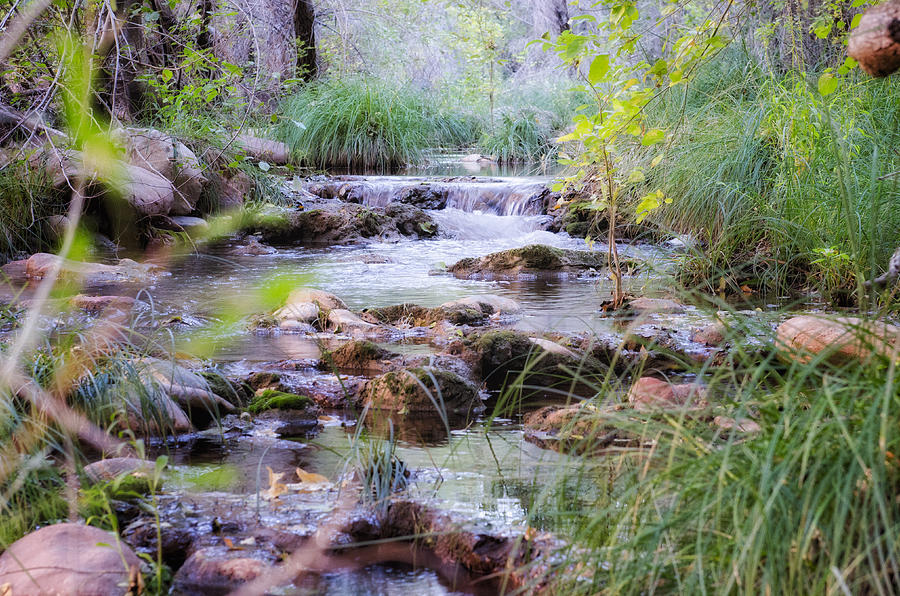 Sycamore Creek Photograph by Jim Haner - Fine Art America