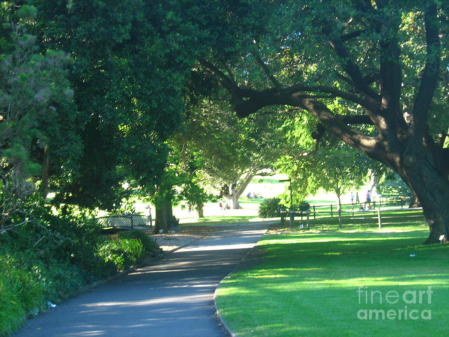 Sydney Botanical Gardens walk Photograph by Leanne Seymour