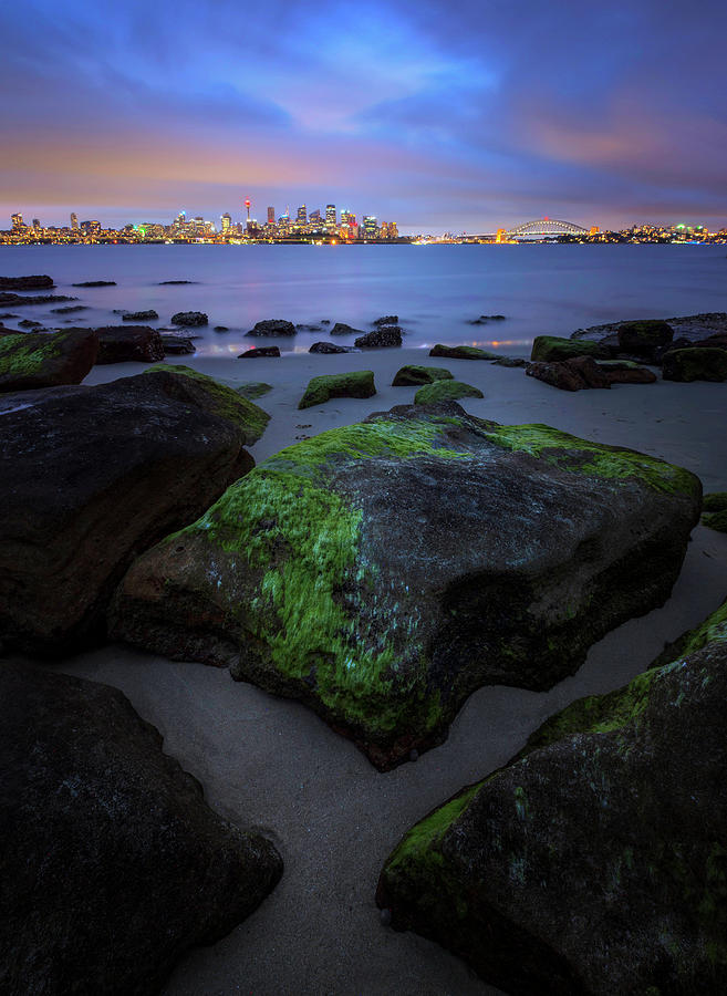 Sydney City At Dusk, Taken From North Photograph by Atomiczen Sydney City At Dusk, Taken From North Photograph by Atomiczen